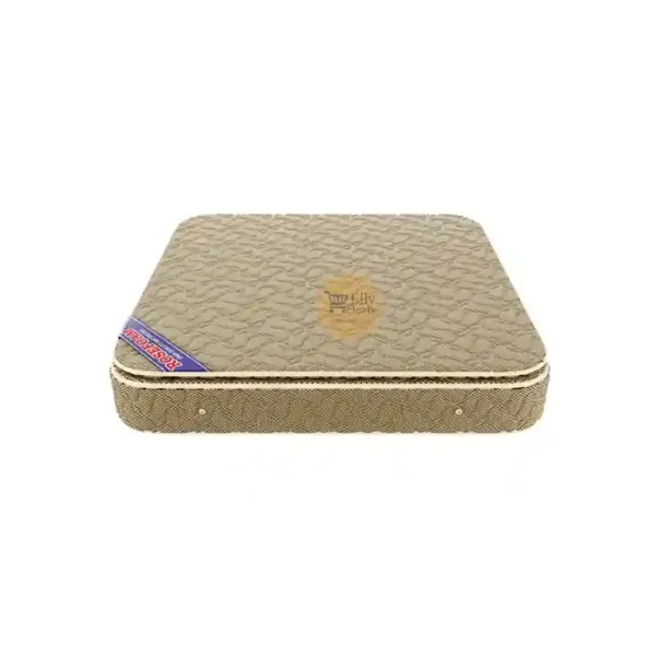 Rosefoam 4x6 10Inch Fitsleep Mattress